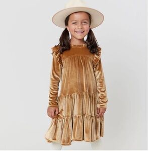 Pink Chicken Velour Kalani Dress Long Sleeves Ruffle Tiered Gold Size 5